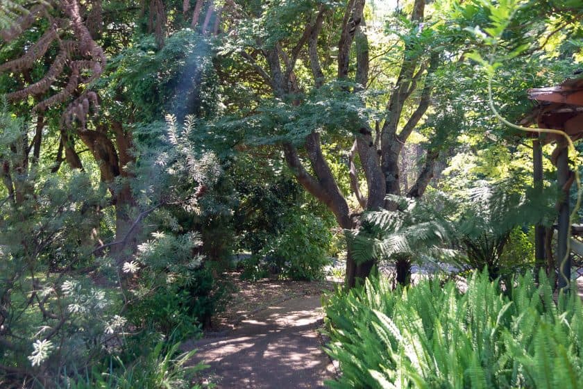 Tranquil pathway at Green Gables Warburton